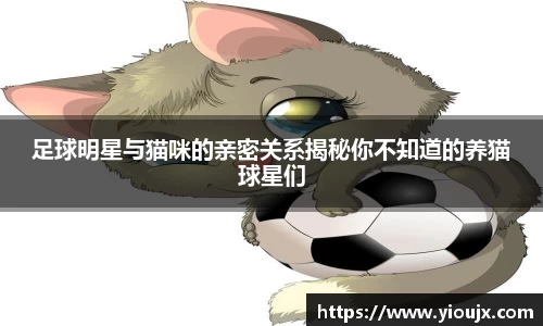 足球明星与猫咪的亲密关系揭秘你不知道的养猫球星们